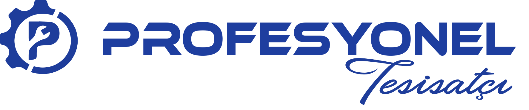Profesyonel Tesisatçı